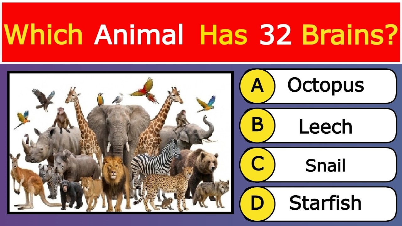 Which animal has 32 Brains? GK | GK Question | English GK | GK in English | gk question english mein