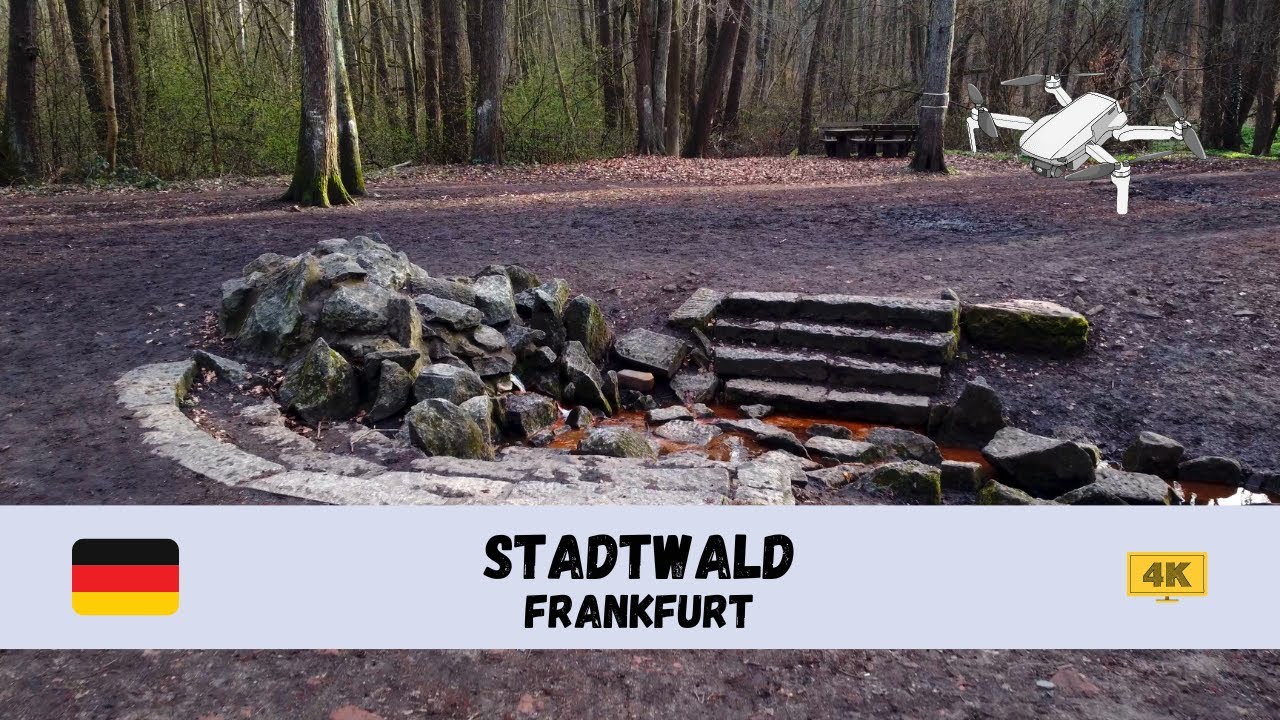 [4K] 🇩🇪 Stadtwald (city forest), Frankfurt - by drone 🇩🇪