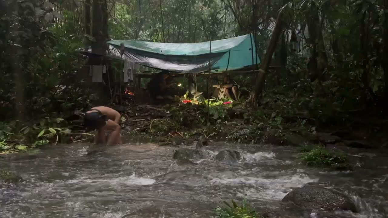 Nature Walk in Rainy Jungle River | Relaxing Sounds for Sleep