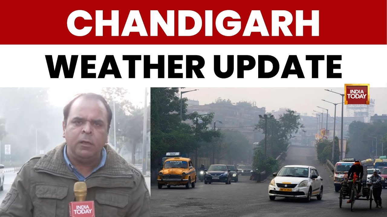 Chandigarh Weather Update: Skies Clear Up After Dense Fog; Winter Chill Set to Intensify