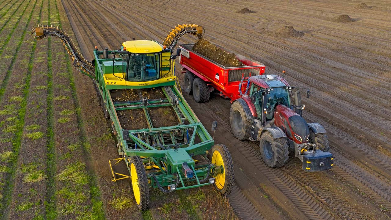 Special harvester you won't find anywhere else | Modified Ploeger | Lilly bulb harvest