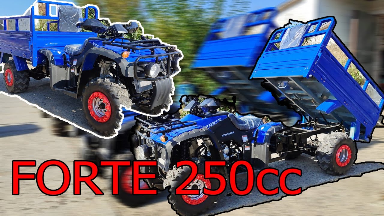 Вантажний квадроцикл Forte 250 сс краще для вантажу Які мінуси та яка ціна з доставкою від МОТТОР