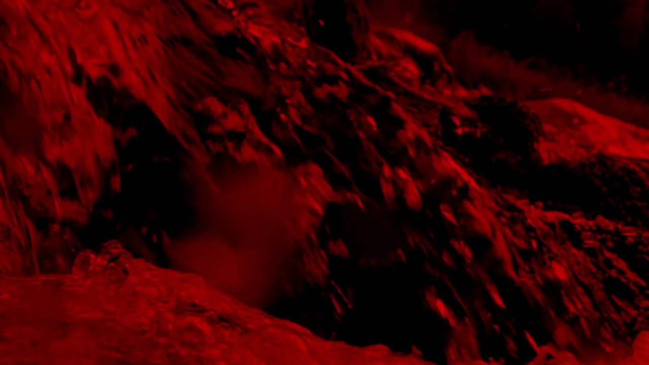 TransLocation - Marzena Majcher