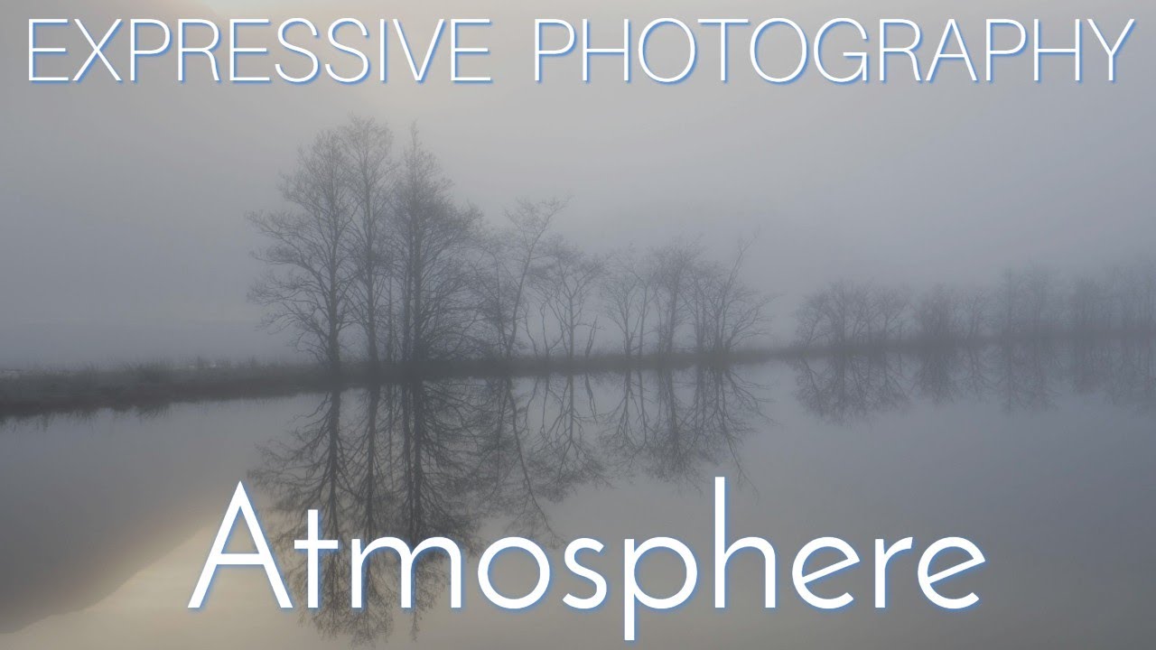 Expressive Landscape Photography: Fog and the Zen of Art