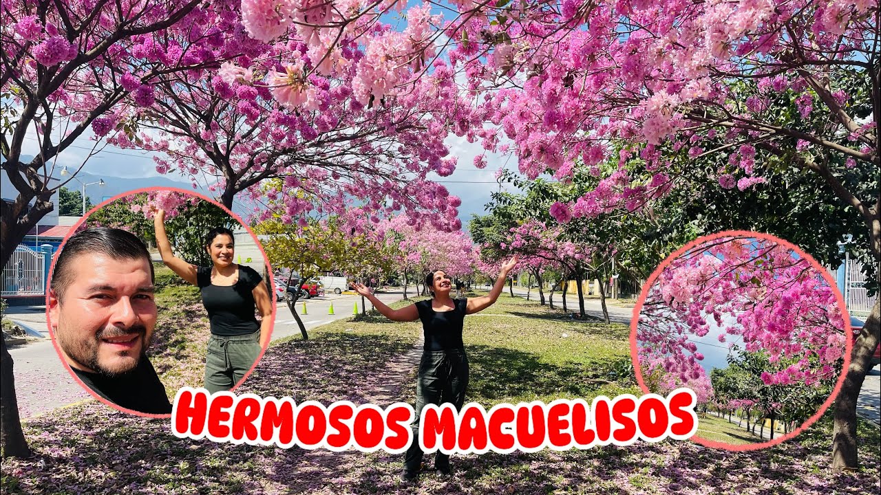 HERMOSOS SOLO FLORECEN EN FEBRERO
