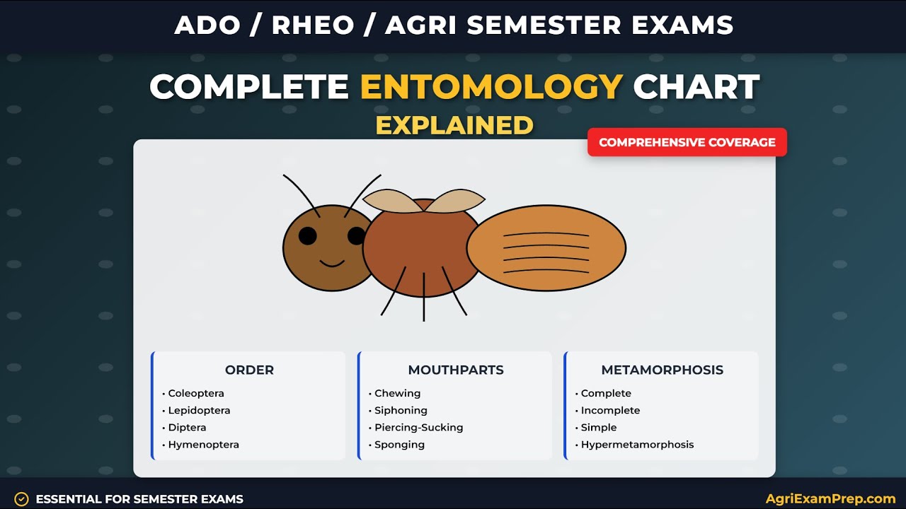 Detailed Explanation of Insect Pest of Rice. Must Watch Everyone