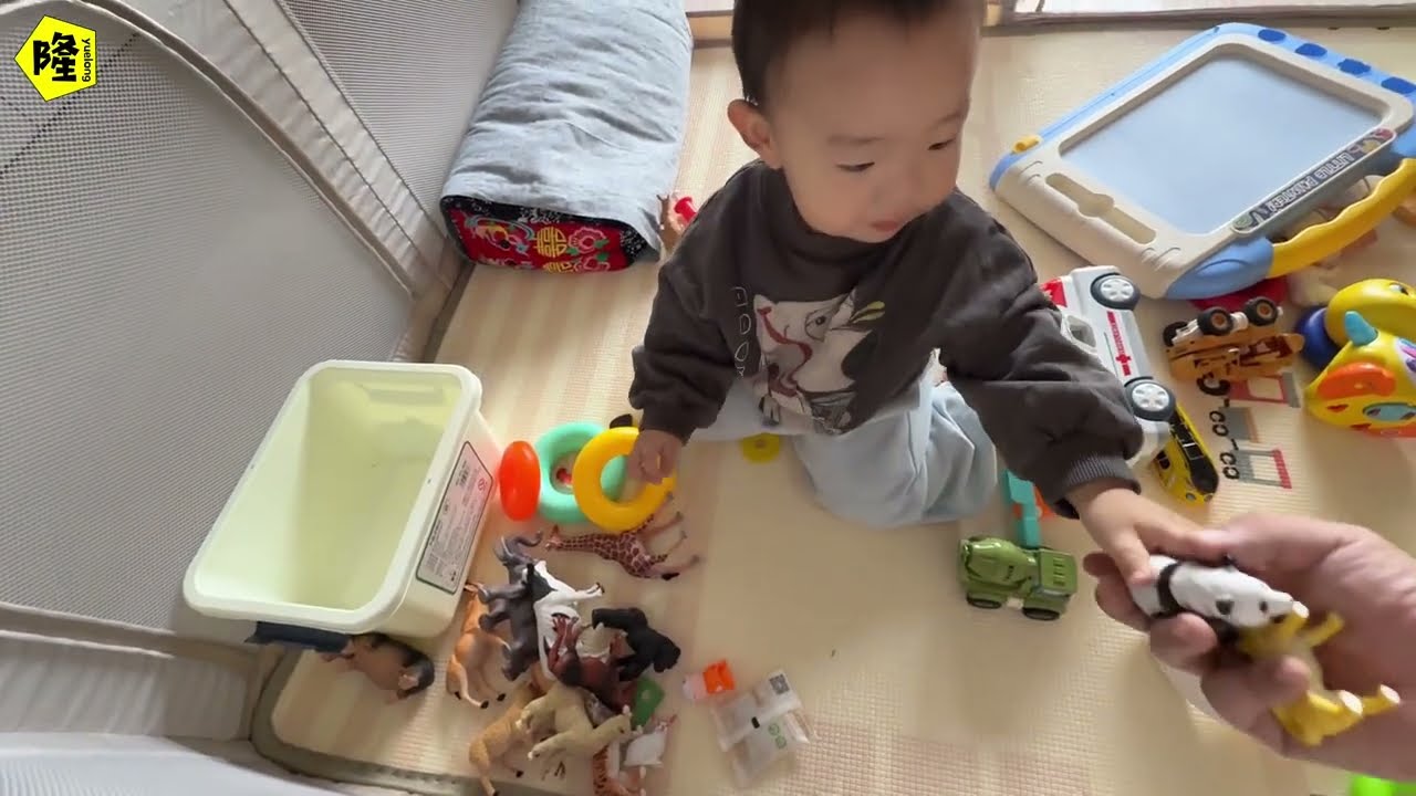 带娃保姆车整备中，为娃又要重新学厨艺，这饭你觉得能吃得下么