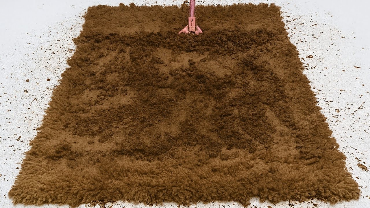 Shocking Challenge - When a Carpet Turns into a Real Pile of Mud!