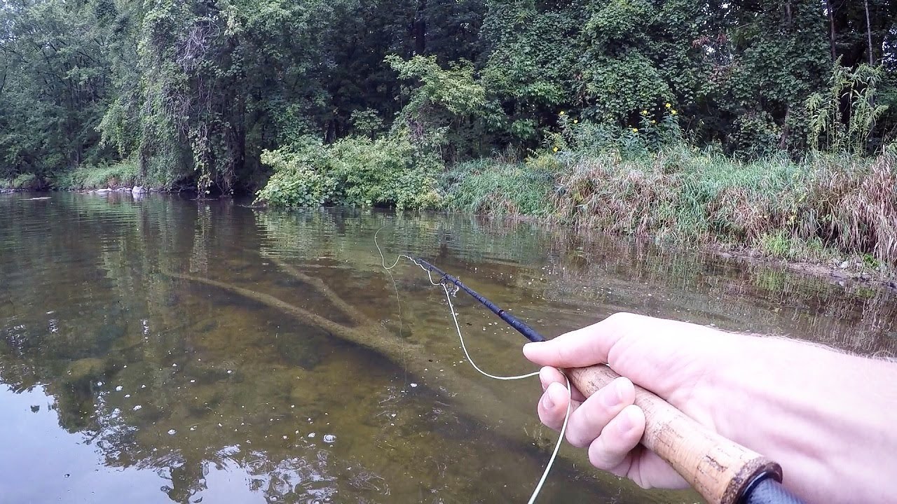 Sight Fishing Clear Shallow Rivers
