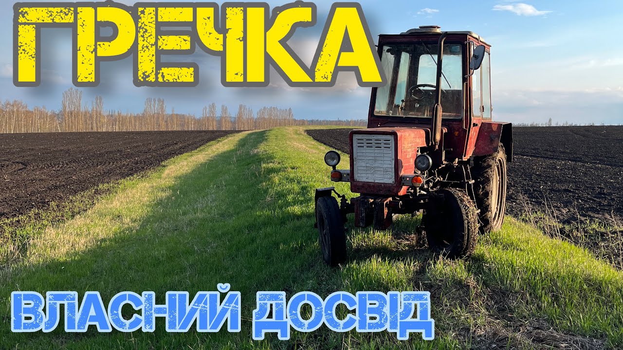 Вирощування гречки по етапно на власному досвіді