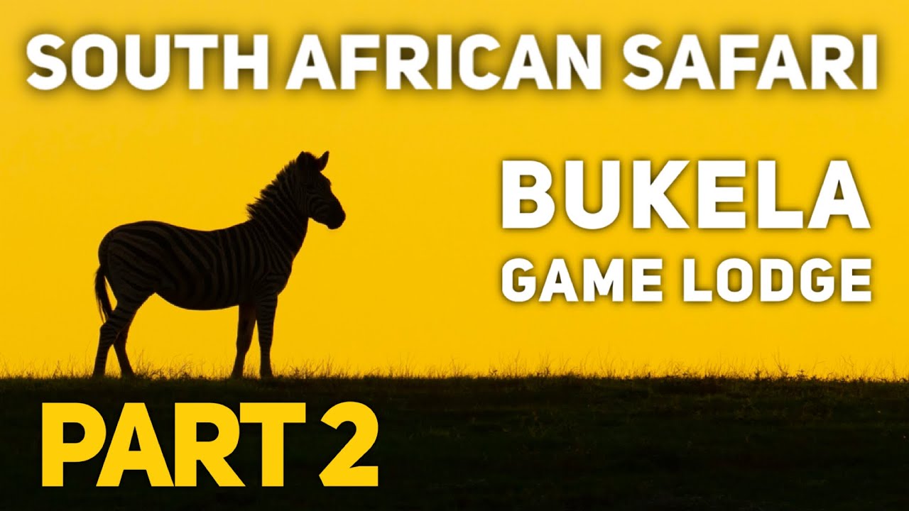 South Africa Safari! Bukela Game Lodge, Amakhala Game Reserve, South Africa 2020 Part 2.