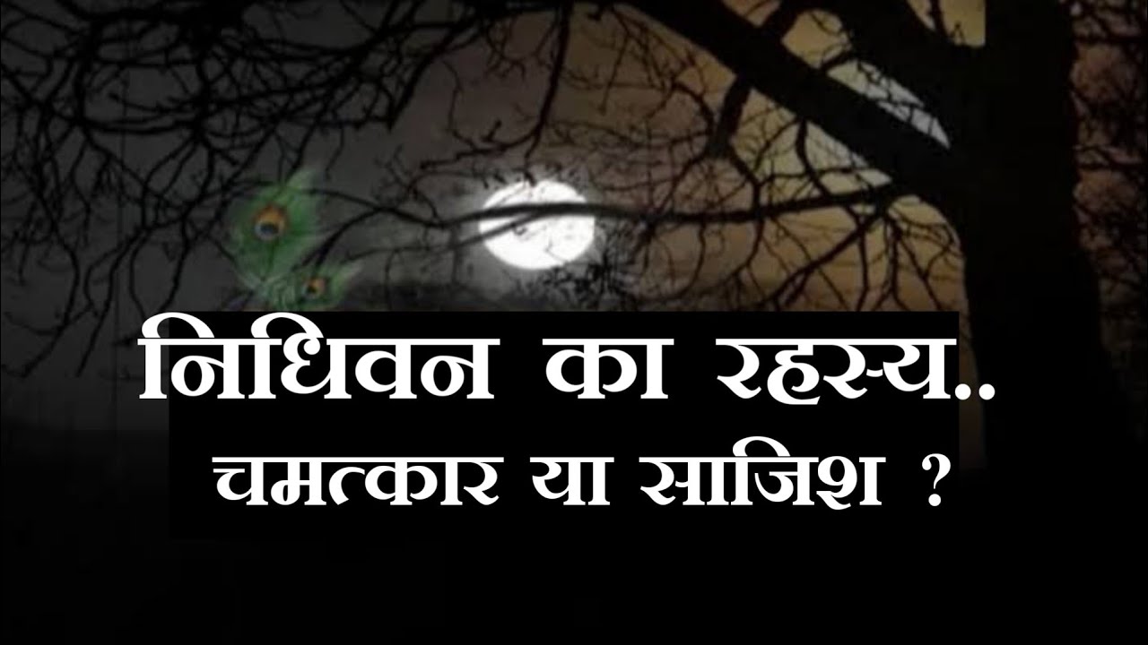 The mystery of Nidhivan has been revealed; Lord Krishna doesn't visit. Is Nidhivan a miracle or a...