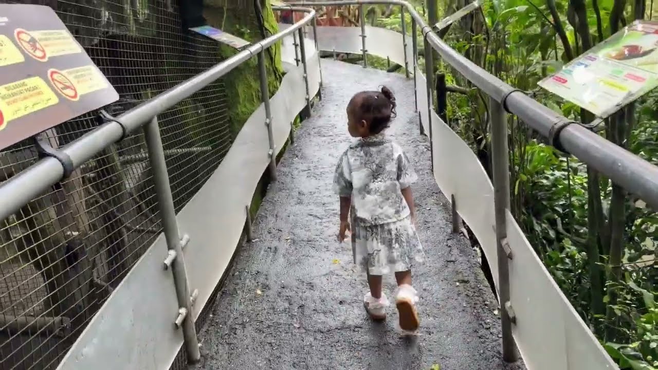 ISTANA UNGGAS (BABY ZOO TAMAN SAFARI BOGOR)
