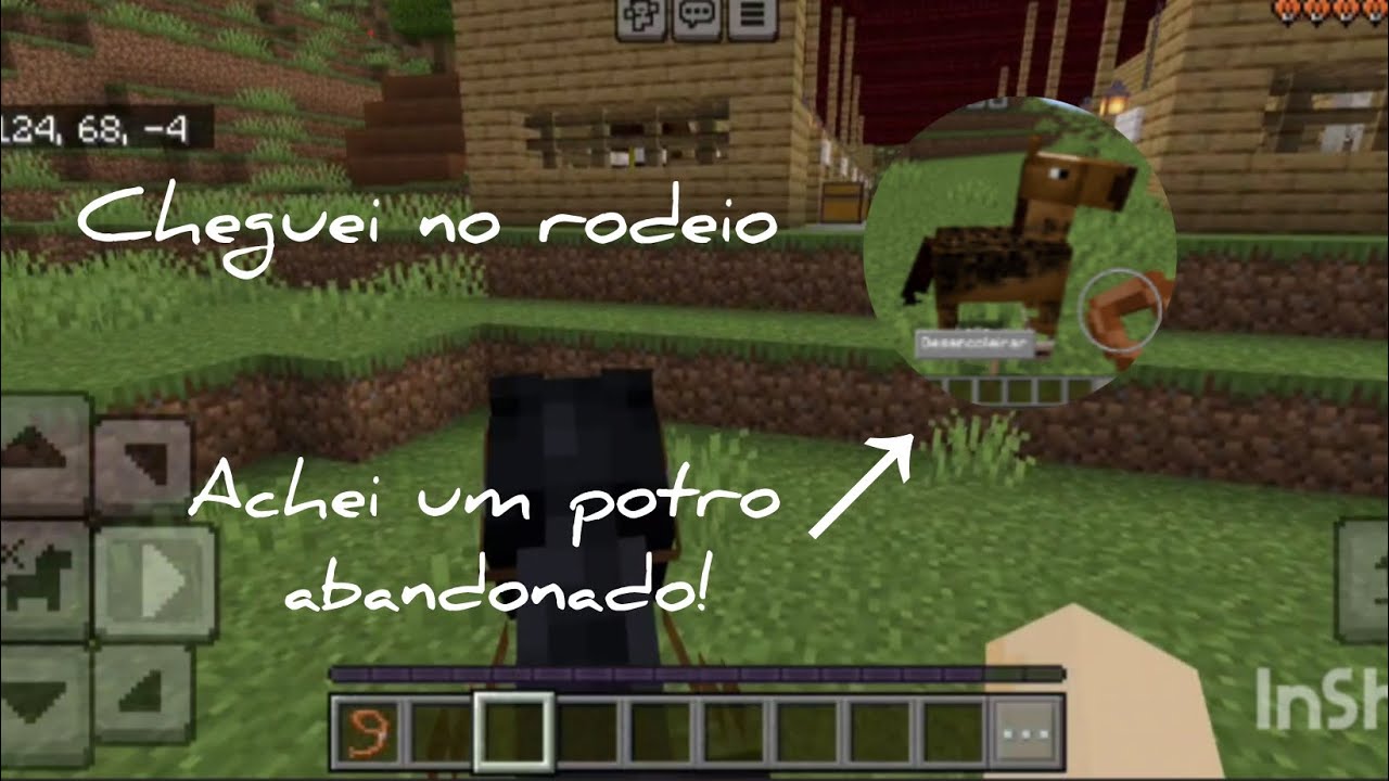 CHEGUEI NO RODEIO E ACHEI UM POTRO ABANDONADO!-haras sunfield -ep-2