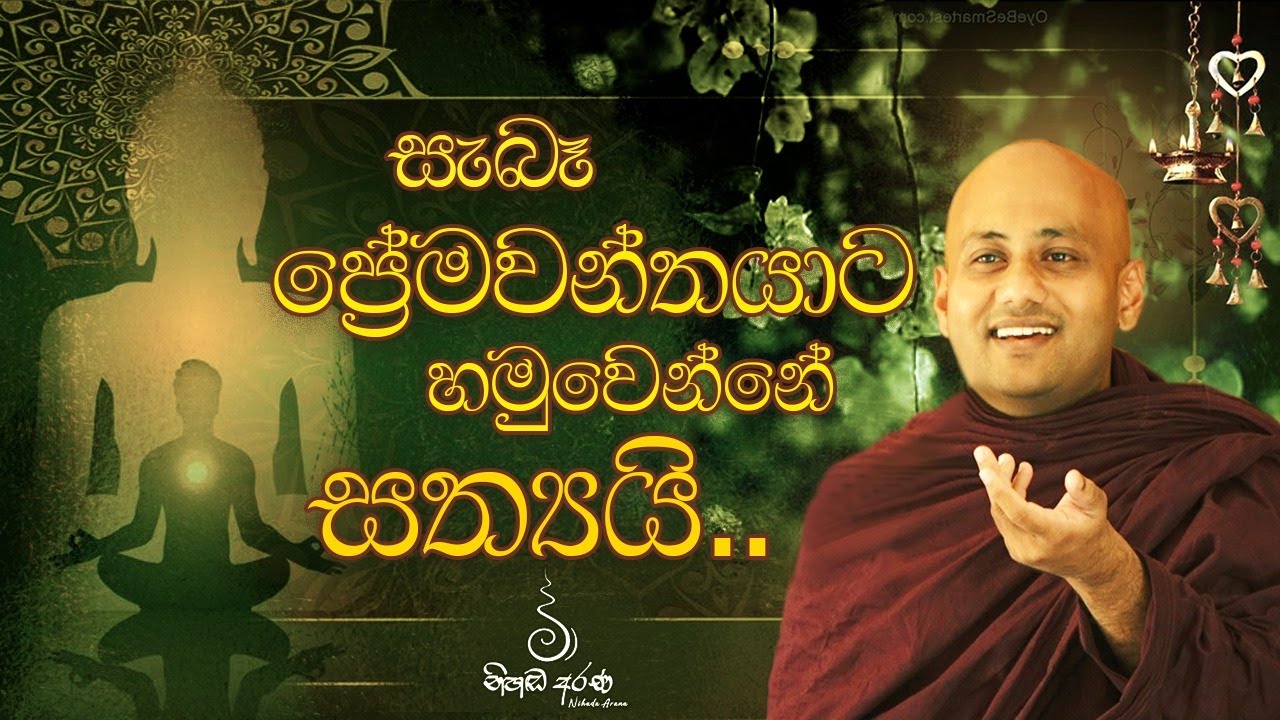 සැබෑ ප්‍රේමවන්තයාට හමුවන්නේ සත්‍යයි, ✨- Ven Aluthgamgoda Gnanaweera Thero | නිහඬ අරණ
