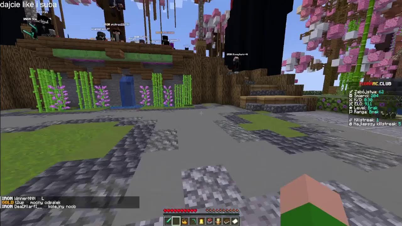 gram na anarchia.gg w minecraft