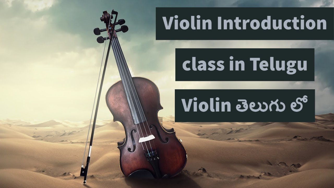 Violin classes in Telugu (9848368290)|| Violin తెలుగు లో || FACTS Vlogs