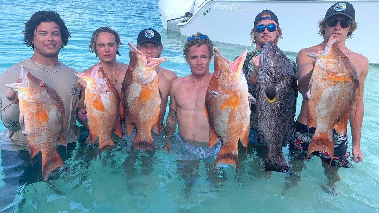 INSANE Bahamas Spear Fishing!!! Hogfish, Grouper, and Snapper CATCH CLEAN COOK