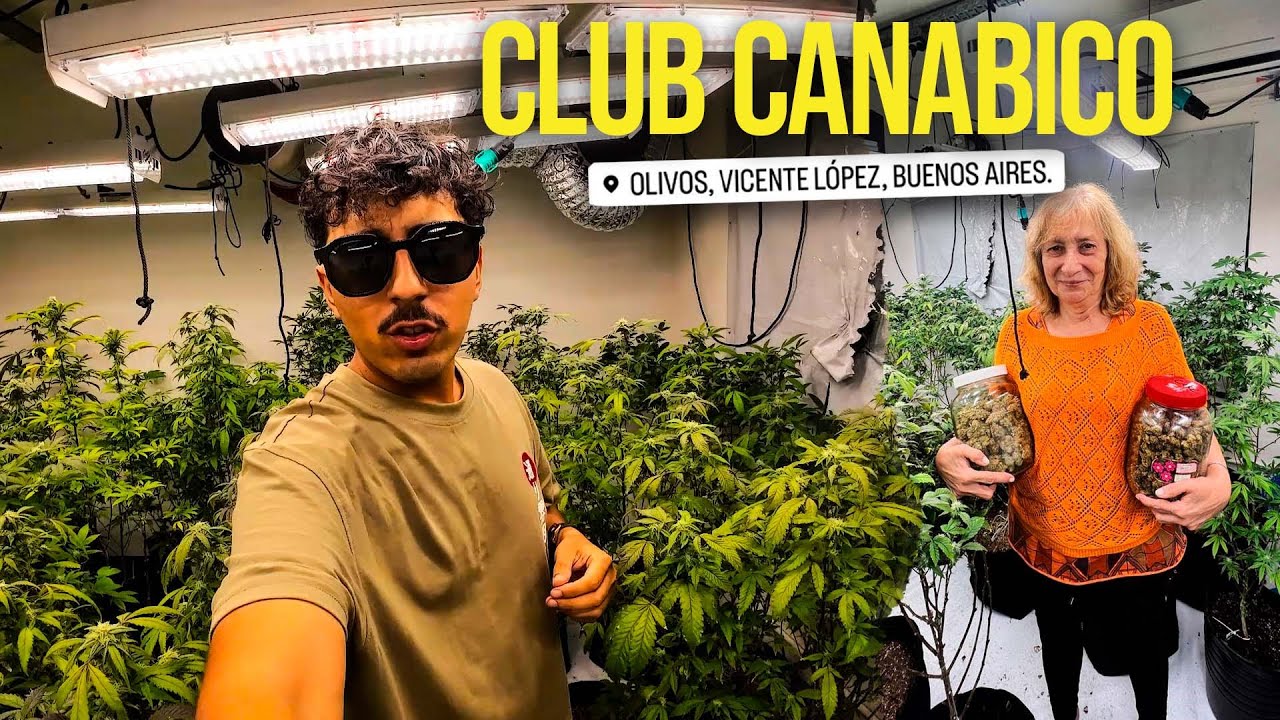 CRE&Oacute; el 1er CLUB CANABICO estilo AMSTERDAM  🇦🇷