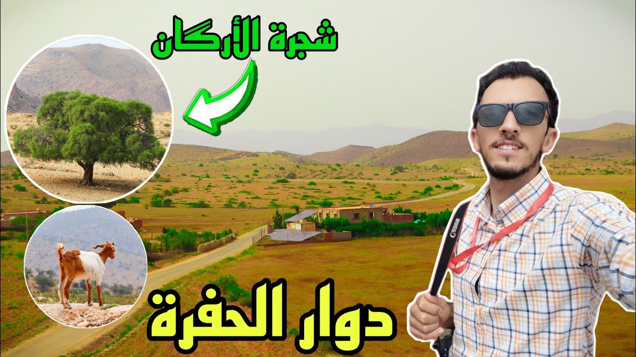 جولة بدوار الحفرة الشويحية إقليم بركان تلاقيت شجرة الأرگان، تصدمت بثمن لتر الواحد! CHOUIHIA BERKANE