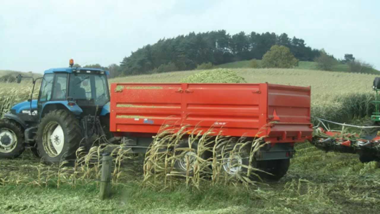 majs h&oslash;st 2010