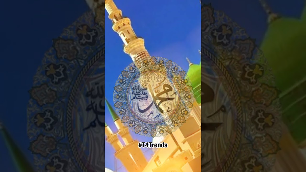 New Filter #218  Naat Status #ytshorts #naat #ramdan #shorts #naatstatus