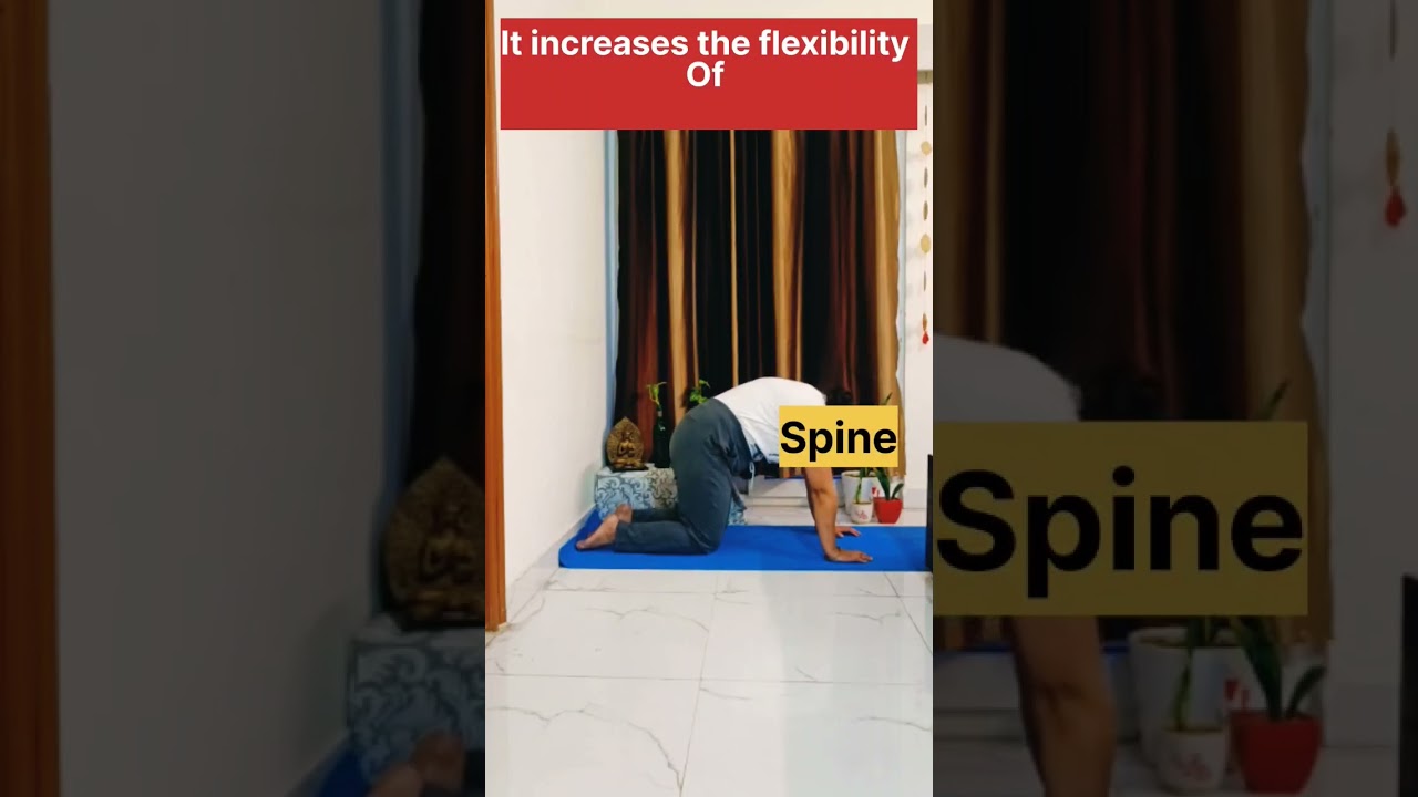 Backpain is common, this asana reduce pain .less than 5 minutes #shortbreaks #shortvideo #yoga