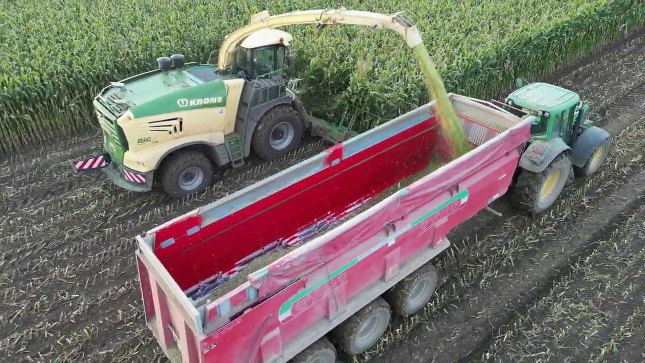 Kombinat Rolny Kietrz 2022 kukurydza na kiszonkę Krone BigX 1180, Krone BigX 850, John Deere, JCB