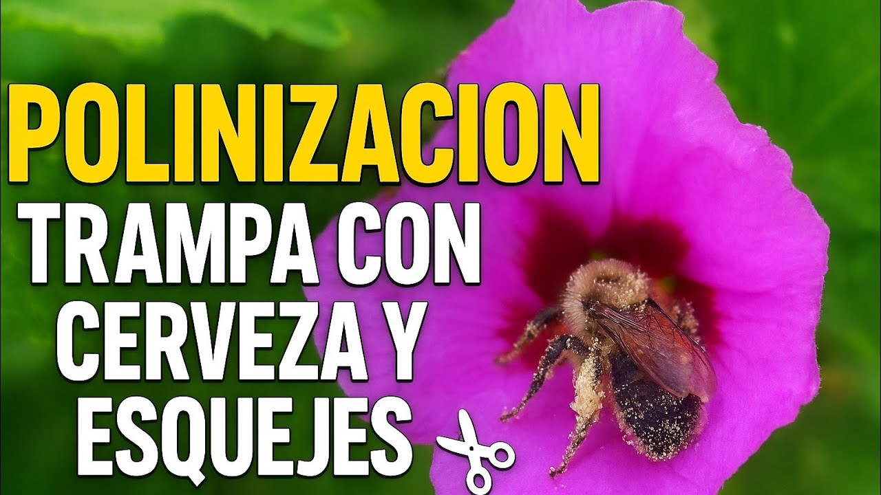 El jardín de mi padre. Polinizacion, cerveza y esquejes