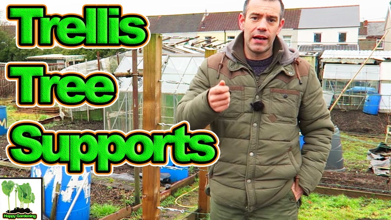 How To Make A Wire Trellis To Support Trees