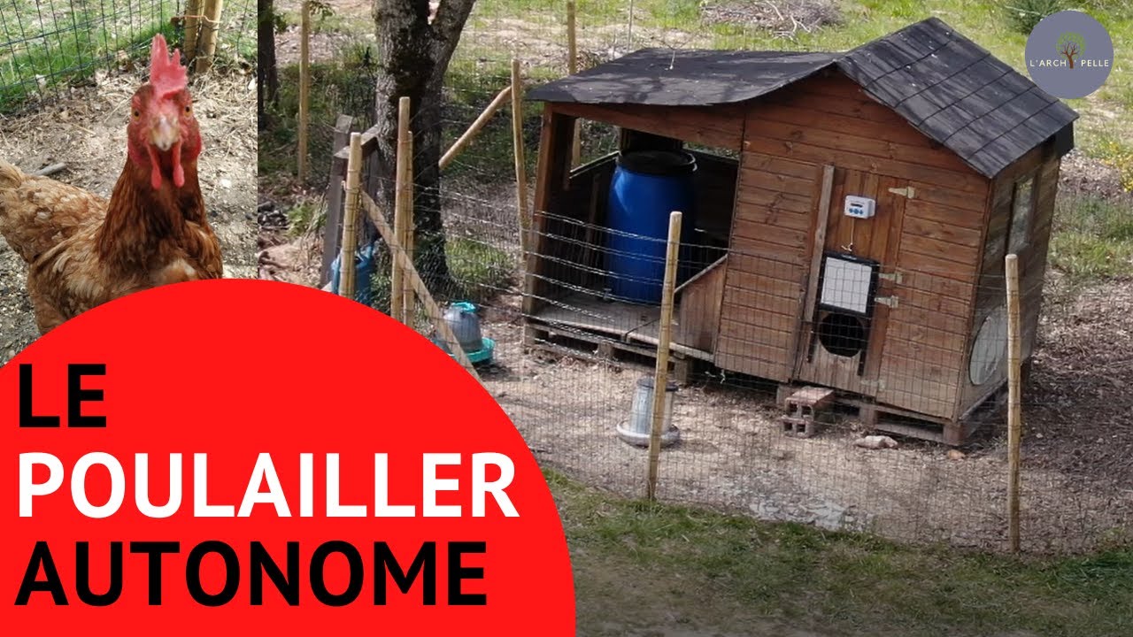 Le POULAILLER AUTONOME