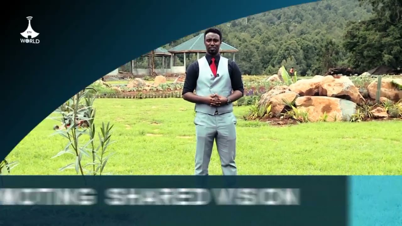 Etv World