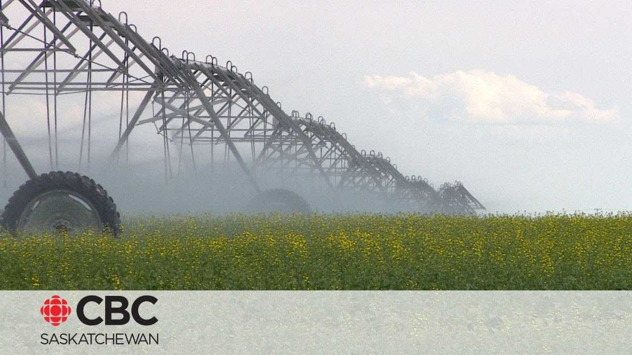 $1.15B Lake Diefenbaker Irrigation Project 'moving forward' despite incomplete feasibility study
