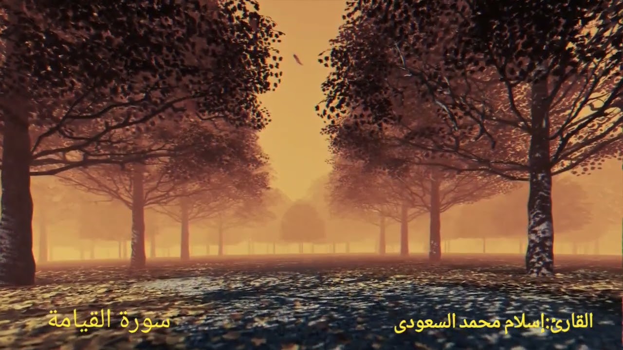سورة القيامة    القارئ: إسلام محمد السعودى