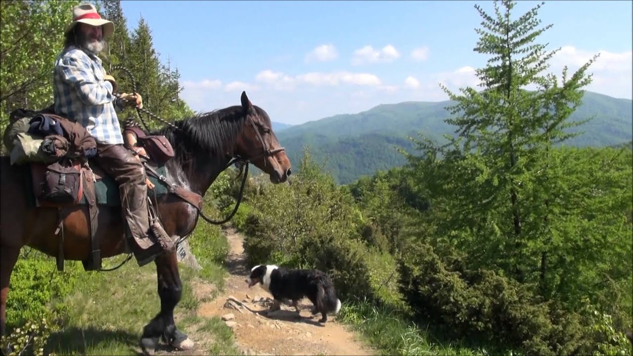 Bieszczady 