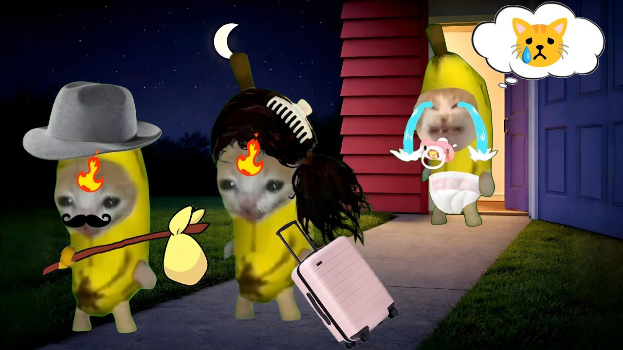 Banana cat crying not happy compilation 477 #babybananacat #happycat #catmemes #bananacat