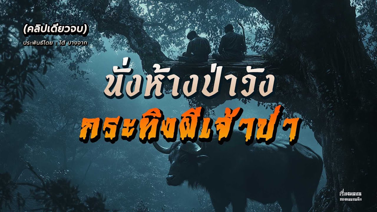 นั่งห้างป่าวังกระทิงผีเจ้าป่า (คลิปเดียวจบ)
