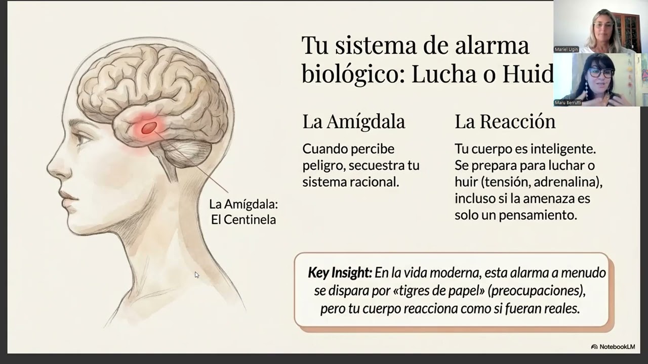 Calmar la ansiedad: Mindfulness para el miedo y la angustia.