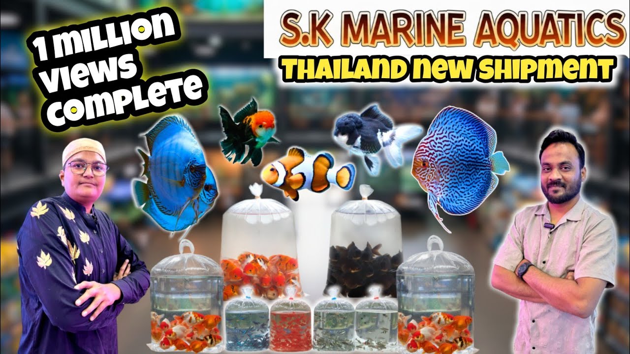 2026 Sabse Sasti Thailand Aquarium Fish 🐠 | S.K Marine Aquatics New Shipment | Kami Razzaq Vlog