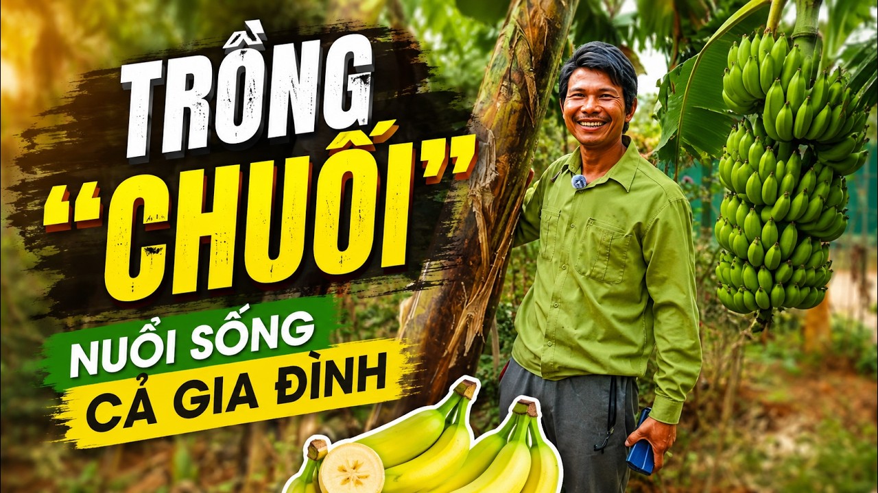Làm Nông Tử Tế: Trồng 