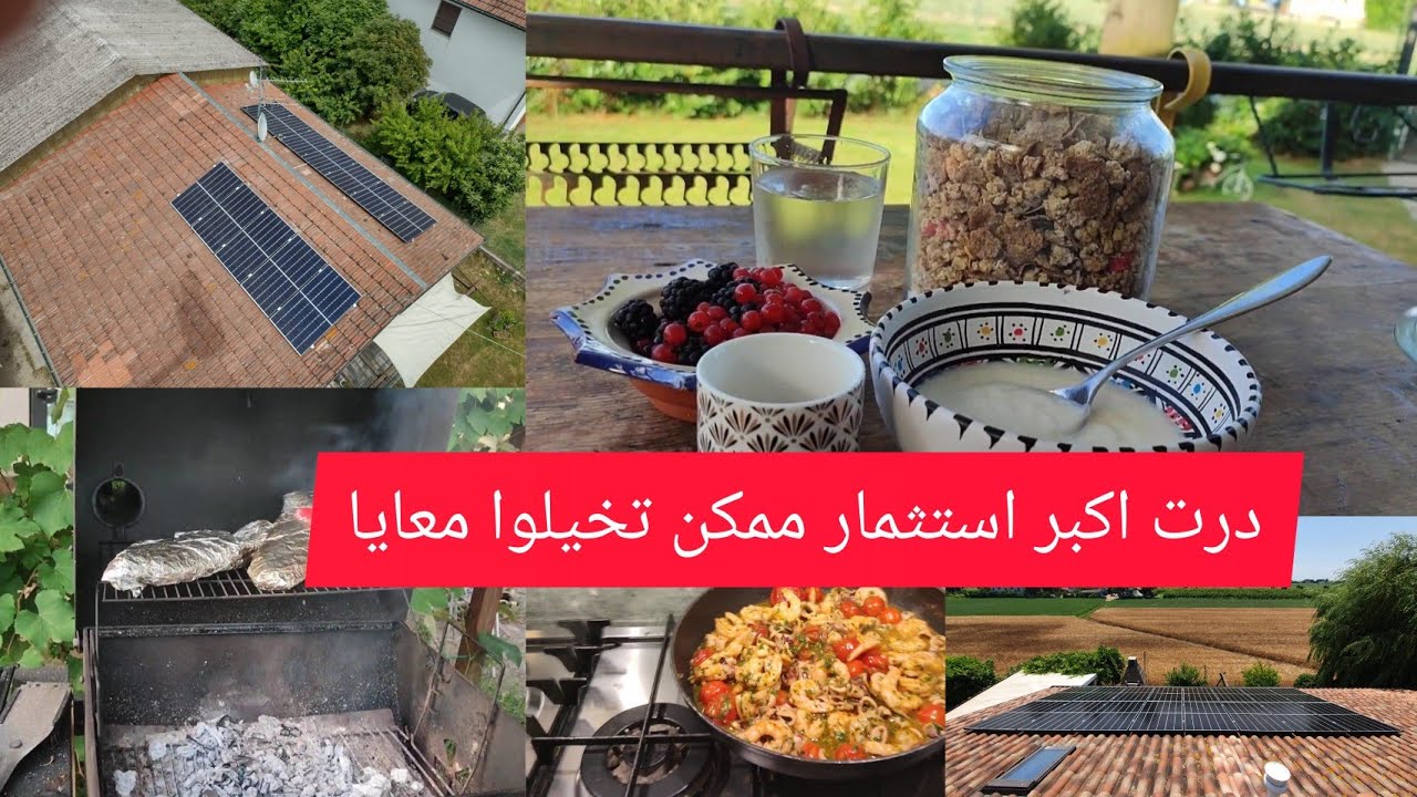 درت اكبر استثمار مع روتين يوم كامل وعشاء خفيف ضريف
