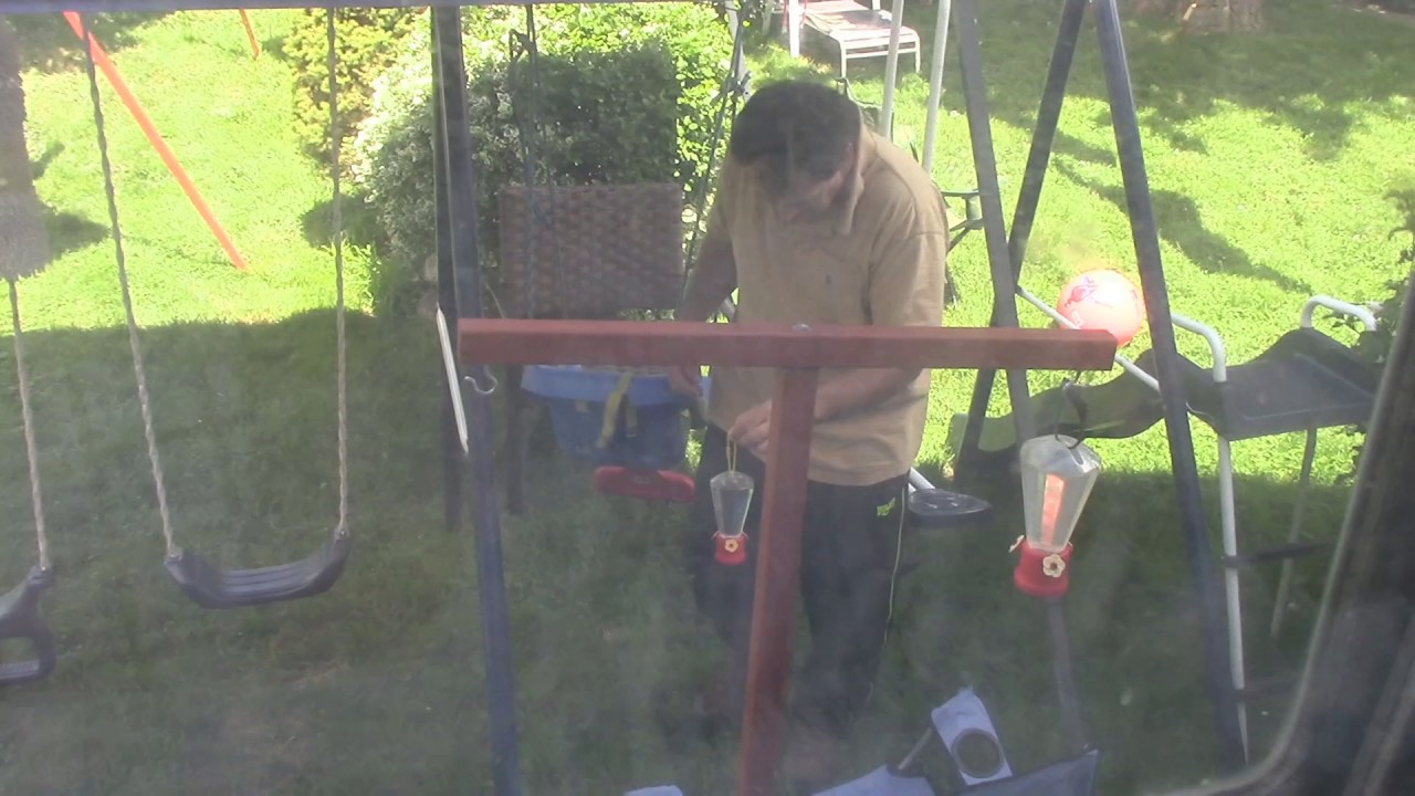 Hummingbird Feeder, Setting Up a Simple and Cheap Hummingbird Feeder