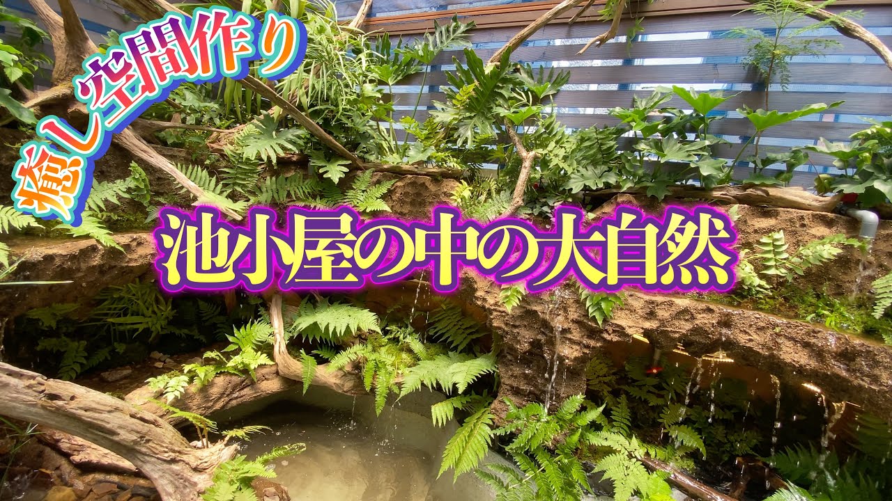【究極の池小屋作り】④室内に広がる大自然を作る