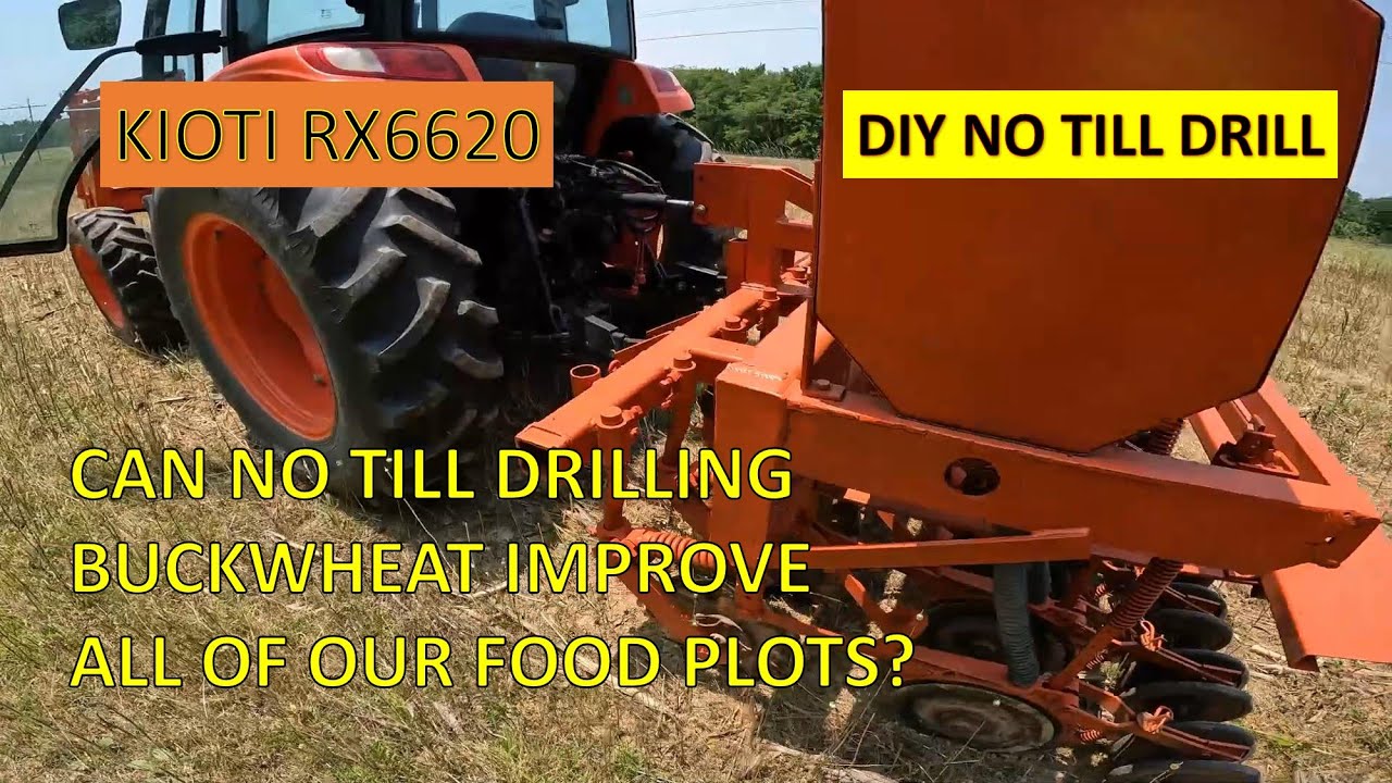 Food plot update-No till drilling buckwheat for Buffalo food plot system