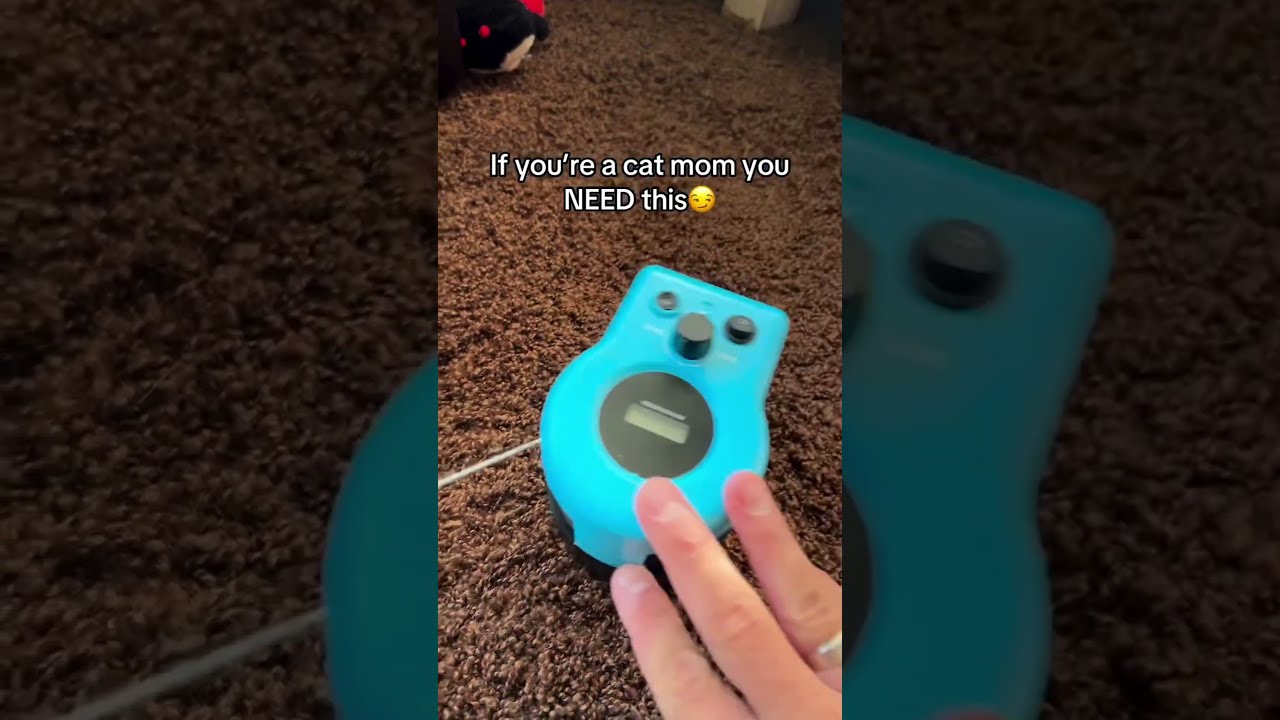 Dynamisch Kattenspeeltje: Voorkom Verveling met de Zoomer