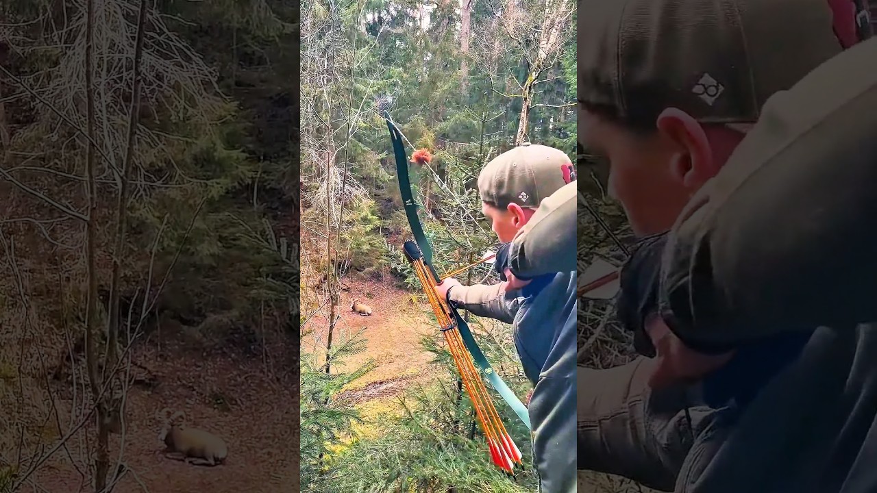 Охота на оленя &ndash; Точный выстрел в дикой природе 🦌🎯#Охота#Олень#ОхотаНаОленя#ТочныйВыстрел