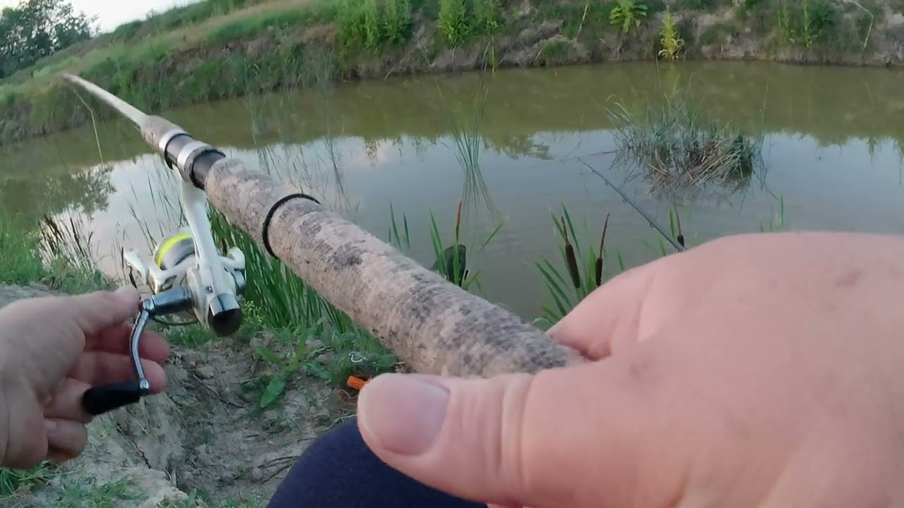 Dva šaranska popodneva!!!#fishing #carp