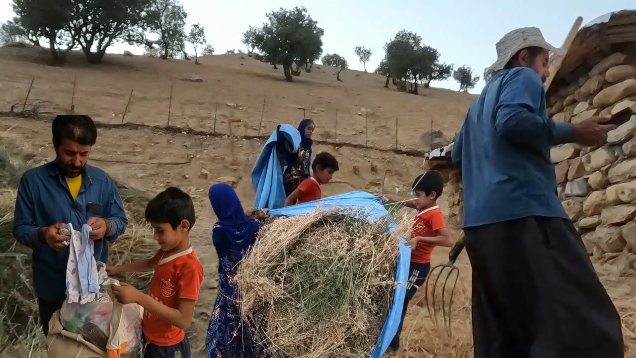Farideh's hard work on the farm amazed everyone;but she ended up with a gift for Halimah's daughter!