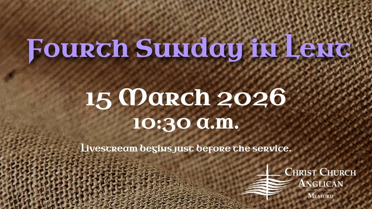 15 March 2026
