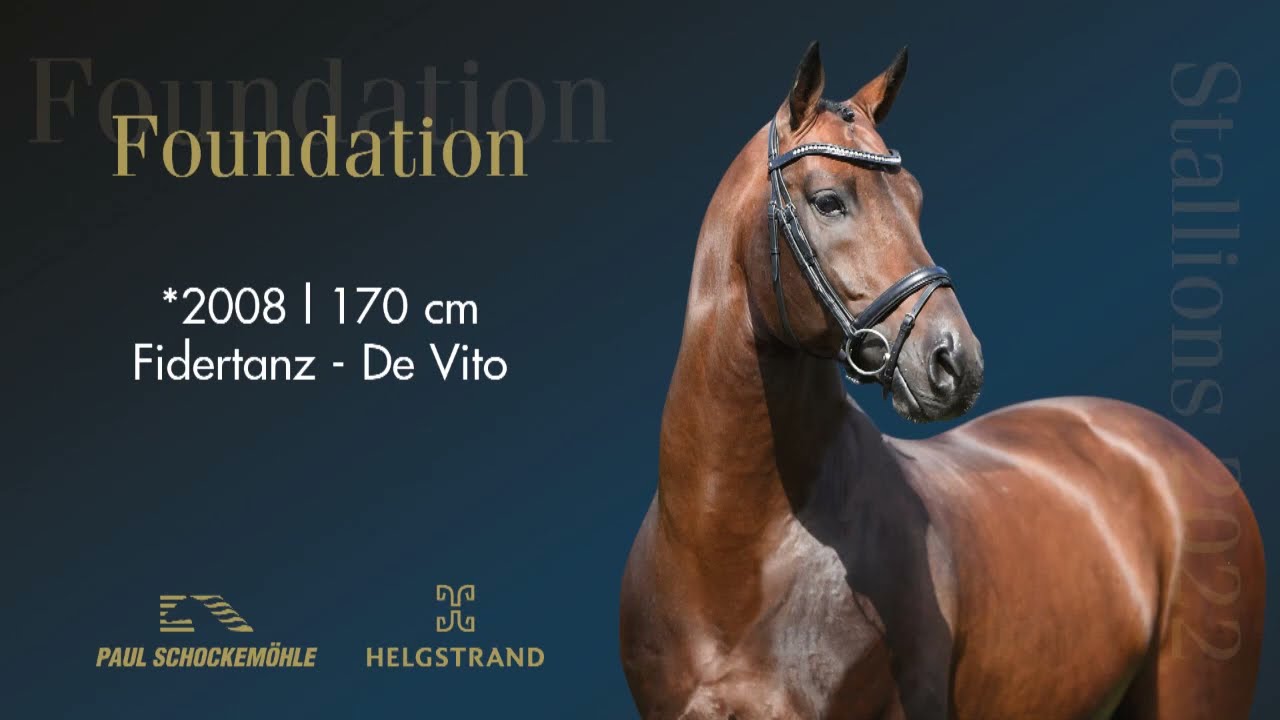 Foundation - Dressurkollektion 2022 Schockemöhle & Helgstrand (DEU)